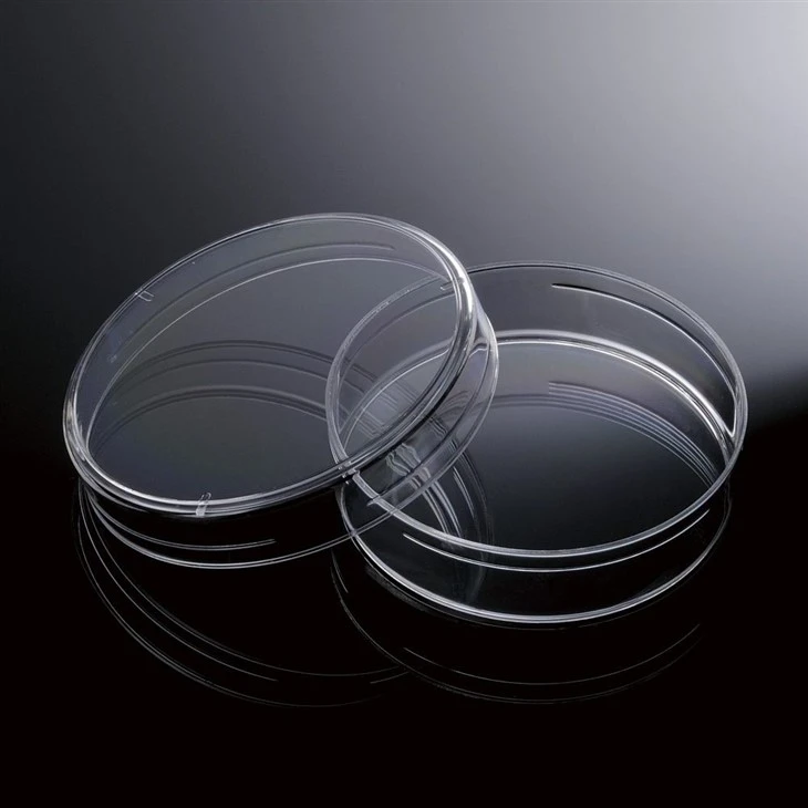 Sterile Petri Dishes-Display