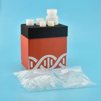 लार जीनोमिक डीएनए किट (स्पिन स्तंभ)