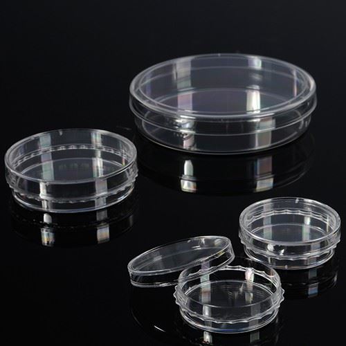 PS Material Sterile Tissue Plastic Disposable 35mm 60mm 100mm 150mm Culture Plate Petri Dish