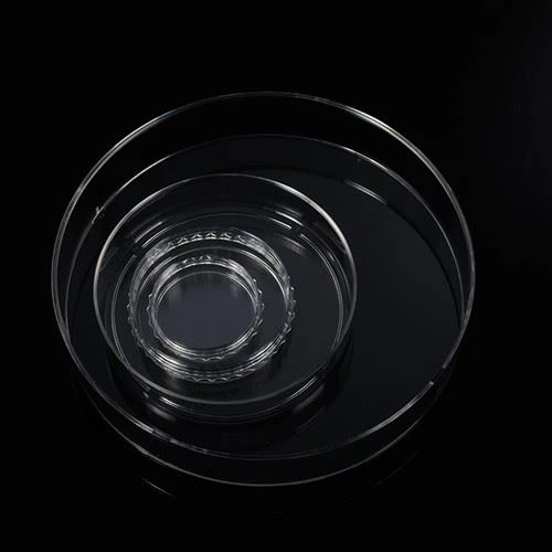 PS Material Sterile Tissue Plastic Disposable 35mm 60mm 100mm 150mm Culture Plate Petri Dish