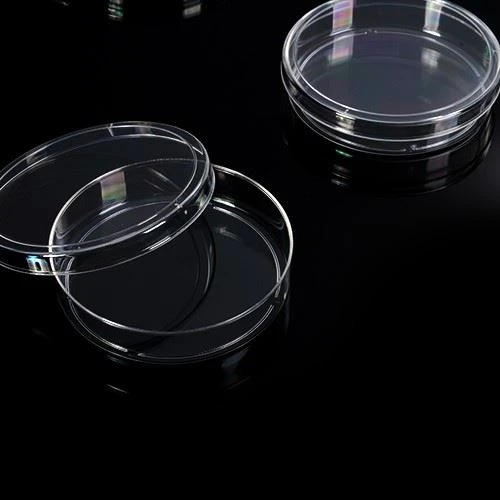 PS Material Sterile Tissue Plastic Disposable 35mm 60mm 100mm 150mm Culture Plate Petri Dish