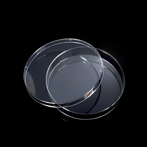 PS Material Sterile Tissue Plastic Disposable 35mm 60mm 100mm 150mm Culture Plate Petri Dish