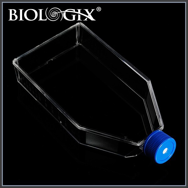 Cell Culture Flasks