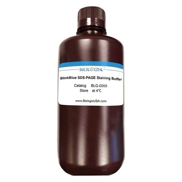 प्रोटीन स्टेन बफर सिर्फ 10 मिनट: बायोलॉजिक्स ब्लिंकब्लू™