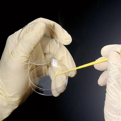 बाँझ Individualy Inoculating Loops & सुई