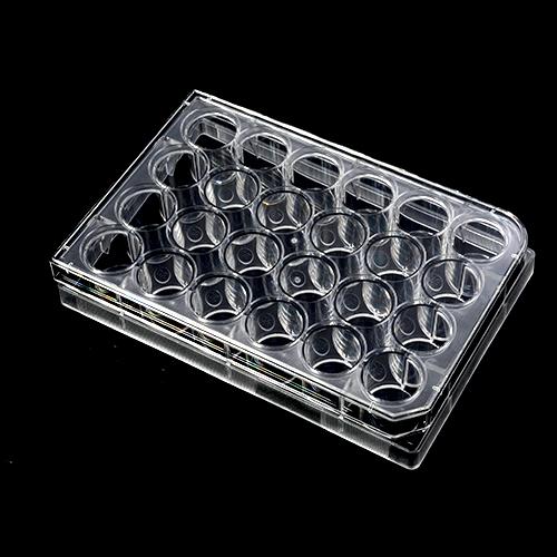 Clear TC-treated Cell Culture Plates