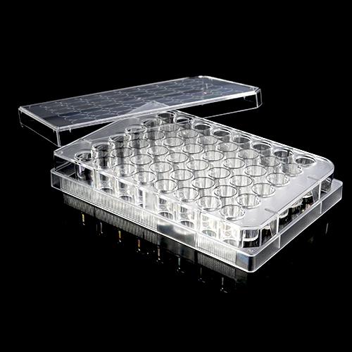 Clear TC-treated Cell Culture Plates